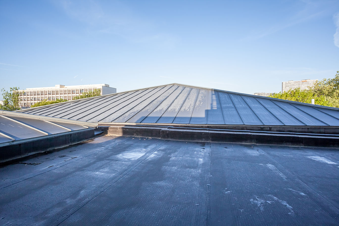 roofing and waterproofing expert witness utah